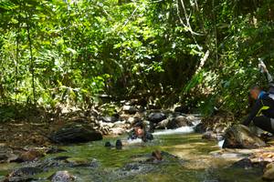 BIB: 
                            <button type="button" onclick="openModal(21843405)" class="btn btn-primary btn-sm float-right btn-popup" data-toggle="modal" data-target=".modal-high-quality">
                        <i class="fas fa-shopping-cart"></i> Add to Cart
                    </button>
                                            <button type="button" onclick="isThisMe(21843405, true)" class="btn btn-success btn-sm float-right btn-popup btn-isme hidden" data-toggle="tooltip" data-placement="bottom" title="นี่คือรูปของคุณใช่ไหม คลิกที่นี่เพื่อเอาเข้าอัลบั้ม">
                        <i class="fas fa-plus"></i> Add to album
                    </button>
                    <button type="button" onclick="isThisMe(21843405, false)" class="btn btn-warning btn-sm float-right btn-popup btn-isnotme hidden">
                        <i class="fas fa-ban"></i> Remove from album
                    </button>